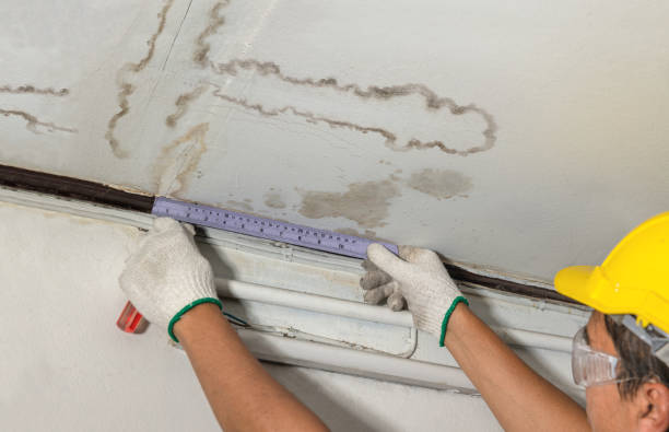 Reliable Water Damage contractor in Forest, MS by Water Damage Irwin